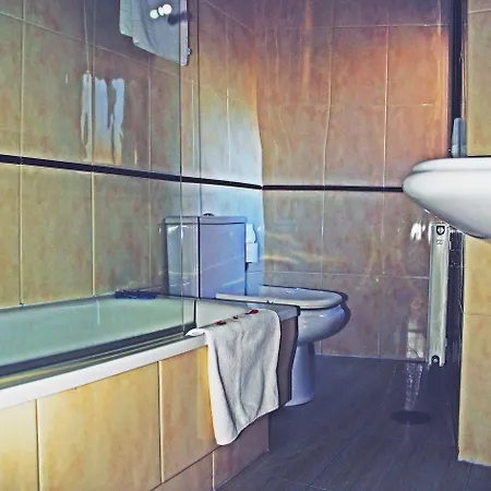 A Camelia ホステル