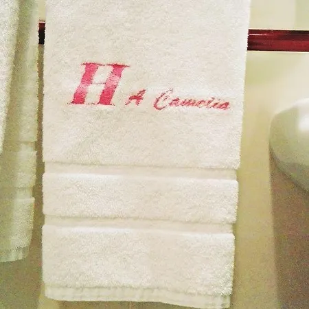 A Camelia Auberge de jeunesse