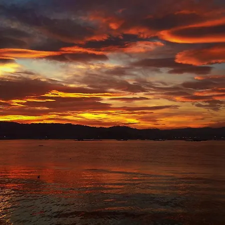 ホステル A Camelia *