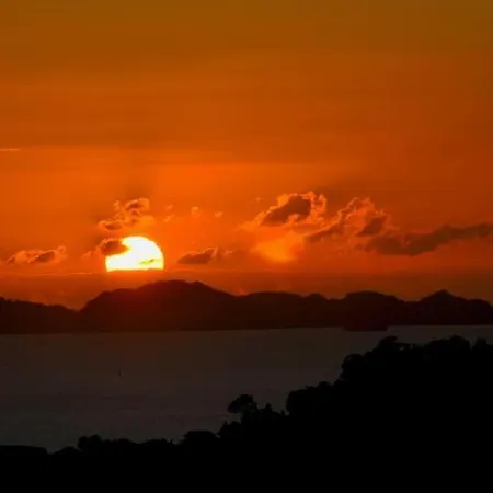 A Camelia ホステル Moaña