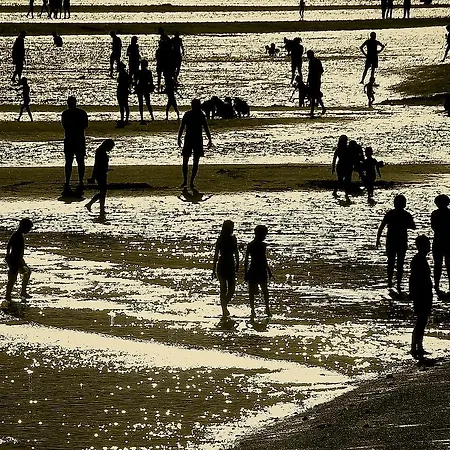 A Camelia ホステル