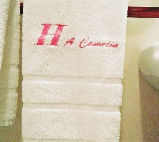 A Camelia Hostel