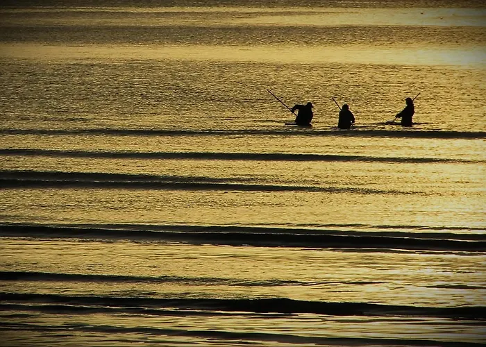 A Camelia Hostel Moaña